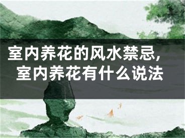 室内养花的风水禁忌,室内养花有什么说法