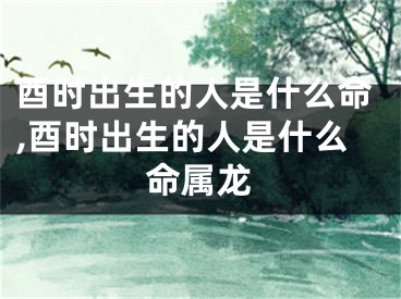 酉时出生的人是什么命,酉时出生的人是什么命属龙