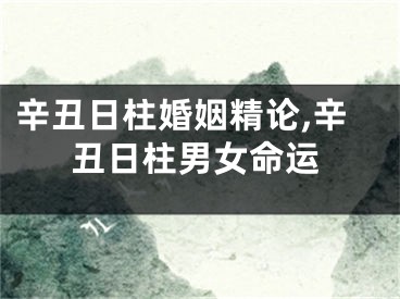 辛丑日柱婚姻精论,辛丑日柱男女命运