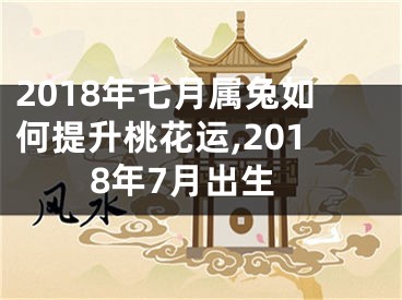 2018年七月属兔如何提升桃花运,2018年7月出生
