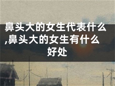 鼻头大的女生代表什么,鼻头大的女生有什么好处