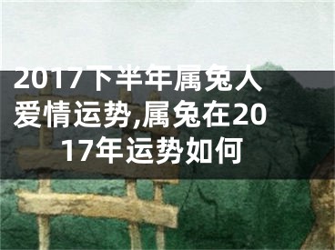 2017下半年属兔人爱情运势,属兔在2017年运势如何