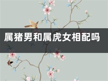 属猪男和属虎女相配吗