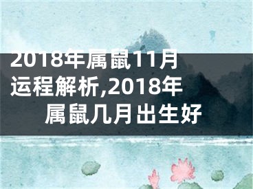 2018年属鼠11月运程解析,2018年属鼠几月出生好