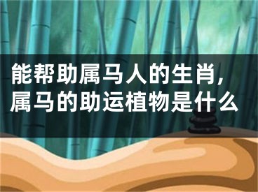 能帮助属马人的生肖,属马的助运植物是什么