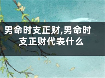 男命时支正财,男命时支正财代表什么