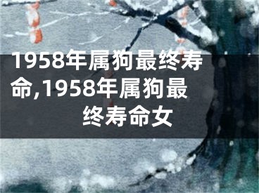 1958年属狗最终寿命,1958年属狗最终寿命女