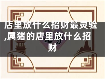 店里放什么招财最灵验,属猪的店里放什么招财