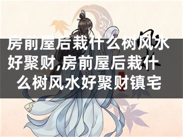 房前屋后栽什么树风水好聚财,房前屋后栽什么树风水好聚财镇宅