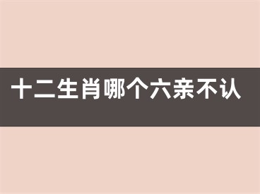 十二生肖哪个六亲不认