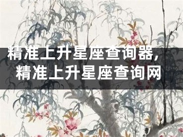 精准上升星座查询器,精准上升星座查询网