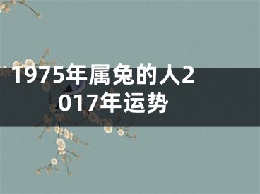 1975年属兔的人2017年运势