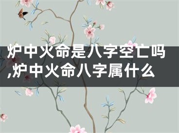 炉中火命是八字空亡吗,炉中火命八字属什么