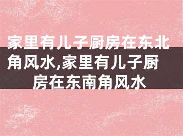家里有儿子厨房在东北角风水,家里有儿子厨房在东南角风水