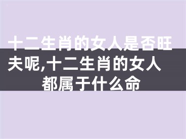 十二生肖的女人是否旺夫呢,十二生肖的女人都属于什么命