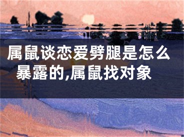 属鼠谈恋爱劈腿是怎么暴露的,属鼠找对象