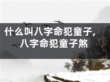 什么叫八字命犯童子,八字命犯童子煞
