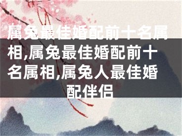 属兔最佳婚配前十名属相,属兔最佳婚配前十名属相,属兔人最佳婚配伴侣