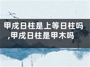 甲戌日柱是上等日柱吗,甲戌日柱是甲木吗