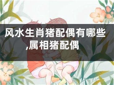 风水生肖猪配偶有哪些,属相猪配偶