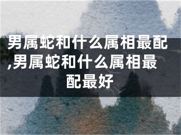 男属蛇和什么属相最配,男属蛇和什么属相最配最好
