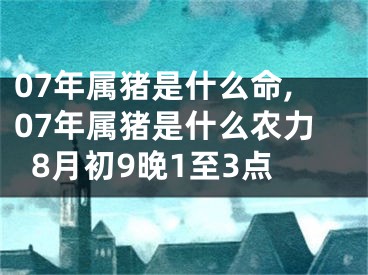 07年属猪是什么命,07年属猪是什么农力8月初9晚1至3点