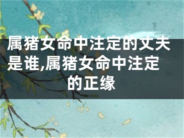 属猪女命中注定的丈夫是谁,属猪女命中注定的正缘