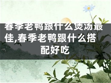 春季老鸭跟什么煲汤最佳,春季老鸭跟什么搭配好吃