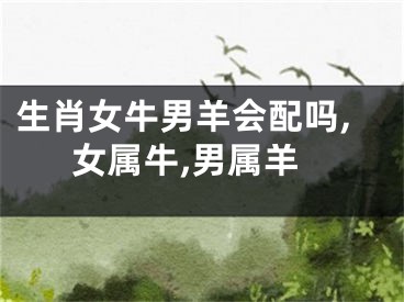 生肖女牛男羊会配吗,女属牛,男属羊