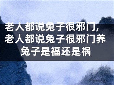 老人都说兔子很邪门,老人都说兔子很邪门养兔子是福还是祸