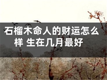 石榴木命人的财运怎么样 生在几月最好