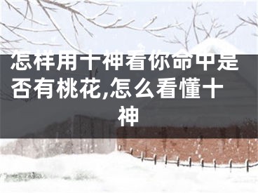 怎样用十神看你命中是否有桃花,怎么看懂十神