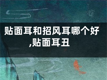 贴面耳和招风耳哪个好,贴面耳丑