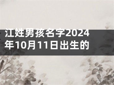 江姓男孩名字2024年10月11日出生的