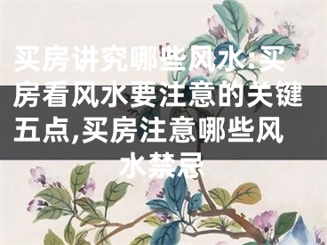 买房讲究哪些风水:买房看风水要注意的关键五点,买房注意哪些风水禁忌
