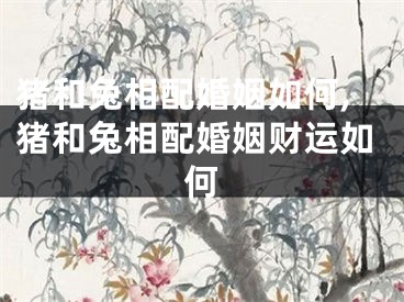 猪和兔相配婚姻如何,猪和兔相配婚姻财运如何