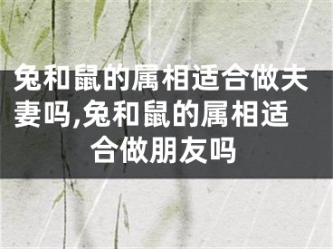 兔和鼠的属相适合做夫妻吗,兔和鼠的属相适合做朋友吗