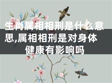 生肖属相相刑是什么意思,属相相刑是对身体健康有影响吗