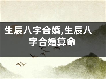 生辰八字合婚,生辰八字合婚算命