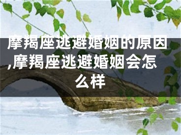 摩羯座逃避婚姻的原因,摩羯座逃避婚姻会怎么样
