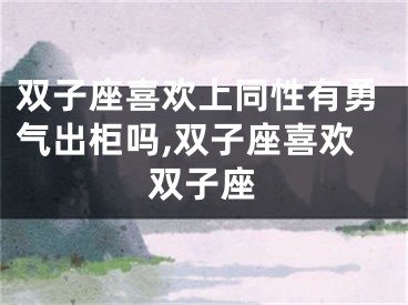 双子座喜欢上同性有勇气出柜吗,双子座喜欢双子座