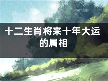 十二生肖将来十年大运的属相