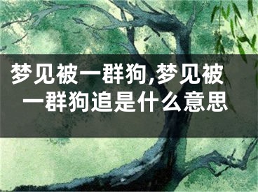 梦见被一群狗,梦见被一群狗追是什么意思