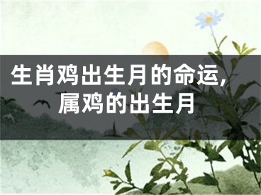 生肖鸡出生月的命运,属鸡的出生月