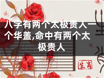 八字有两个太极贵人一个华盖,命中有两个太极贵人