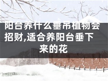 阳台养什么垂吊植物会招财,适合养阳台垂下来的花