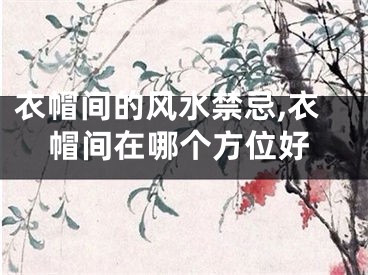 衣帽间的风水禁忌,衣帽间在哪个方位好