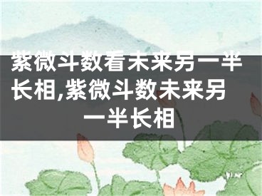 紫微斗数看未来另一半长相,紫微斗数未来另一半长相