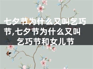 七夕节为什么又叫乞巧节,七夕节为什么又叫乞巧节和女儿节