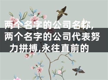 两个名字的公司名称,两个名字的公司代表努力拼搏,永往直前的